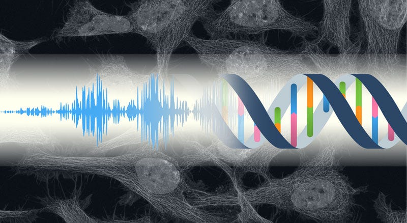 CONFIRMED: Your Cells Can Hear!